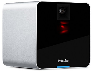 petcube