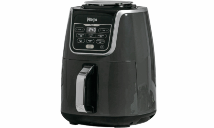 Ninja Air Max XL Review