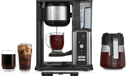 Ninja Hot & Iced XL Coffee Maker with Rapid Cold Brew Review