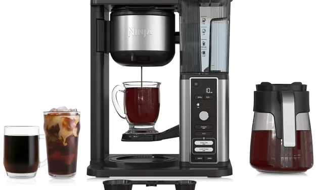 Ninja Hot & Iced XL Coffee Maker with Rapid Cold Brew Review