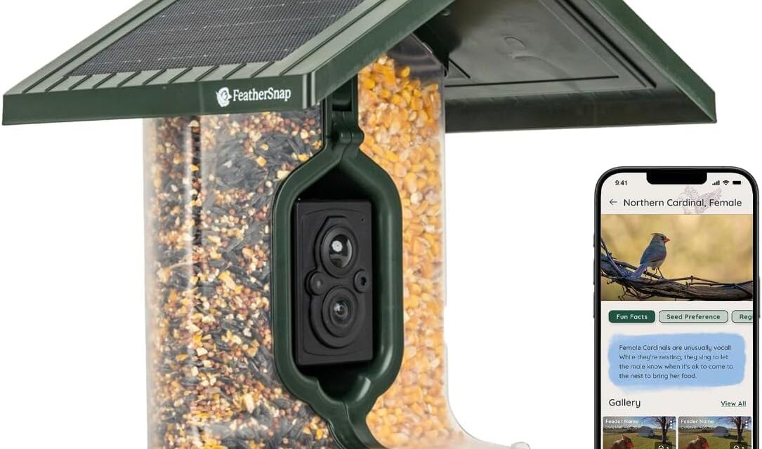 Feathersnap Scout Seed Feeder Review