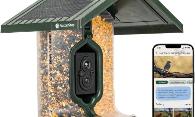 Feathersnap Scout Seed Feeder Review
