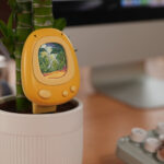 SolidTech’s Senso is like a Tamagotchi for your houseplant