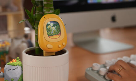 SolidTech’s Senso is like a Tamagotchi for your houseplant
